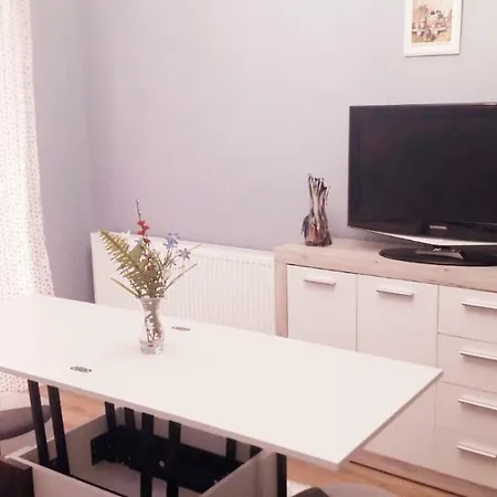 Ultra Central - Stunning Two Bedroom Cluj-Napoca